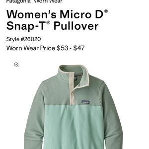 Patagonia Micro D Snap-T Pullover in Soft Green